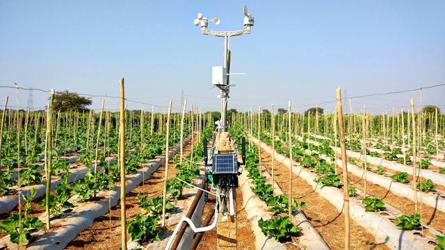 agriculturemonitoring